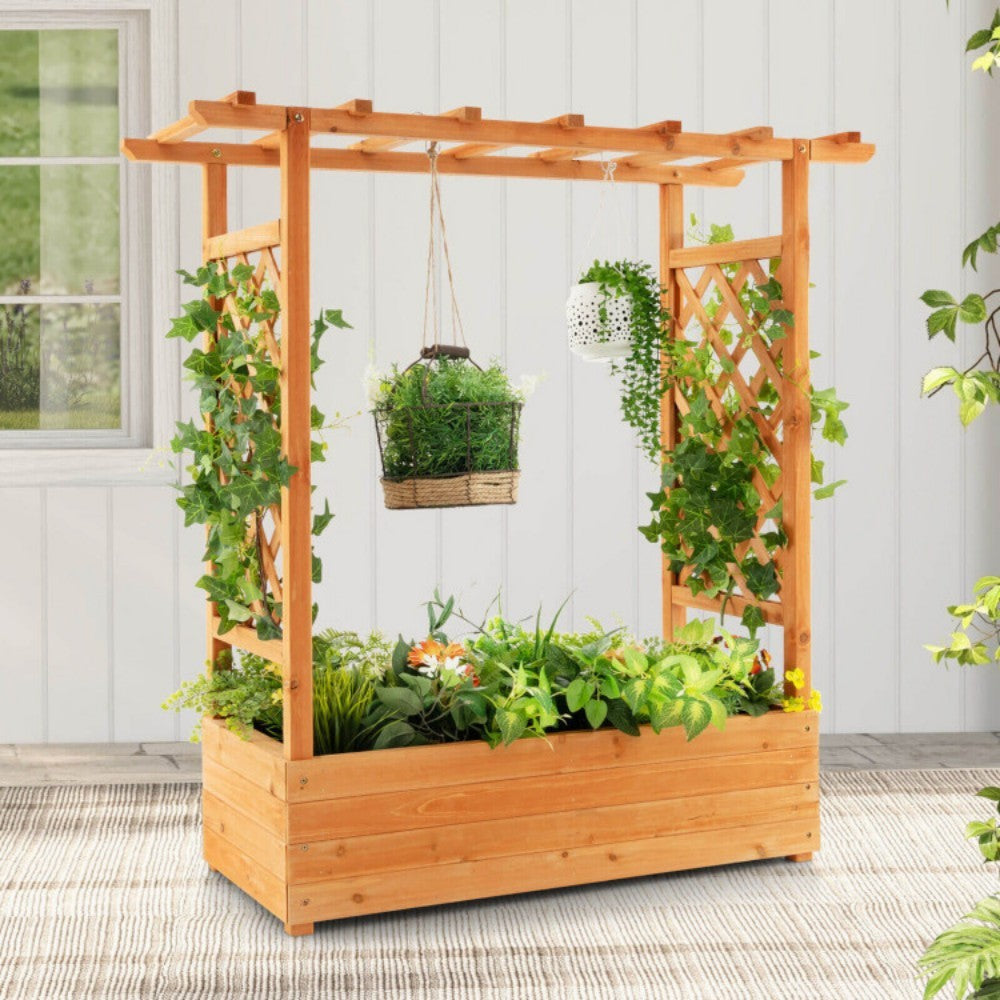 Raised Garden Bed With Trellis Or Climbing Plant And Hanging Roof - Lumina shop
