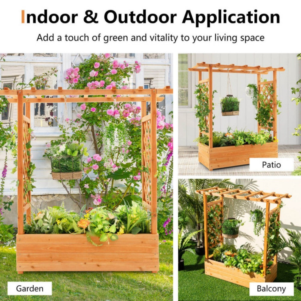 Raised Garden Bed With Trellis Or Climbing Plant And Hanging Roof - Lumina shop