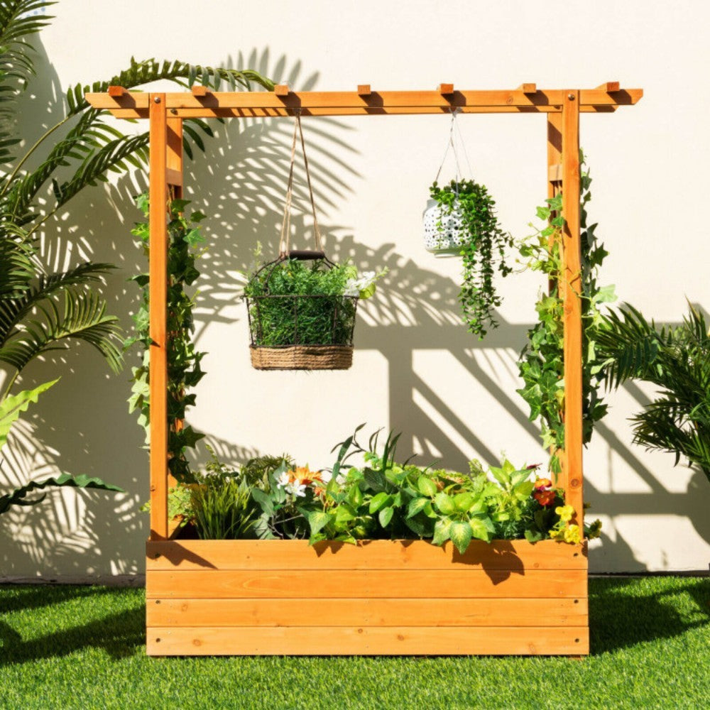 Raised Garden Bed With Trellis Or Climbing Plant And Hanging Roof - Lumina shop