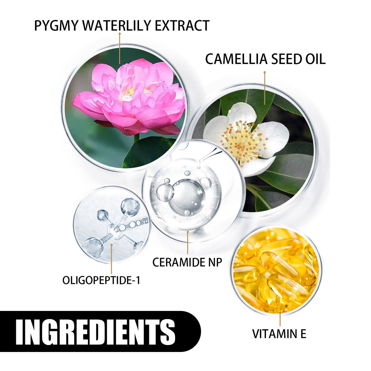 Nourishing & Moisturizing Skin Rejuvenation Cream – Brightening, Whitening & Hydrating Formula | Luminashop