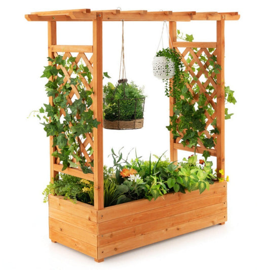 Raised Garden Bed With Trellis Or Climbing Plant And Hanging Roof - Lumina shop