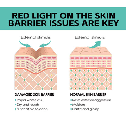 Nourishing & Moisturizing Skin Rejuvenation Cream – Brightening, Whitening & Hydrating Formula | Luminashop